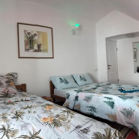 Doi Iepuri Apartment Azuga Bagian luar foto