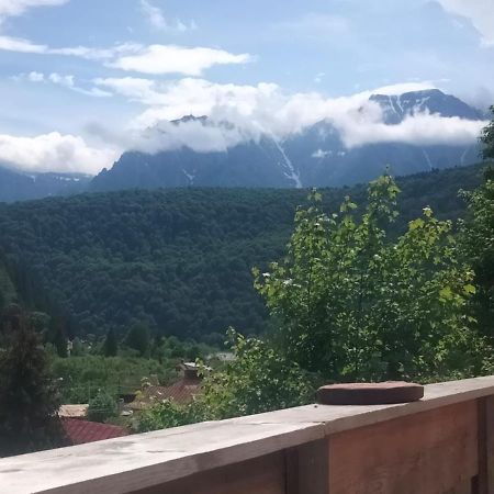 Doi Iepuri Apartment Azuga Bagian luar foto