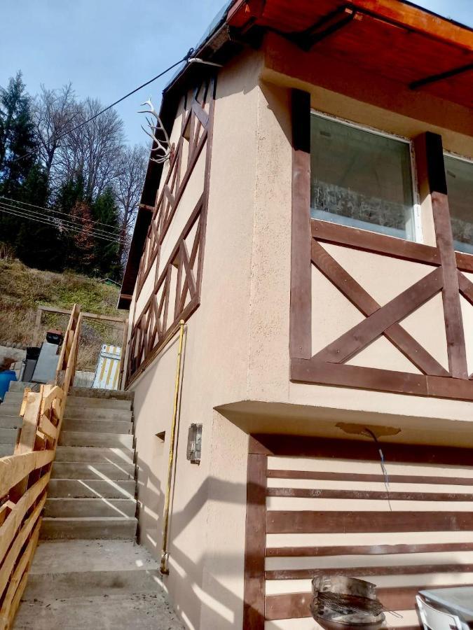 Doi Iepuri Apartment Azuga Bagian luar foto