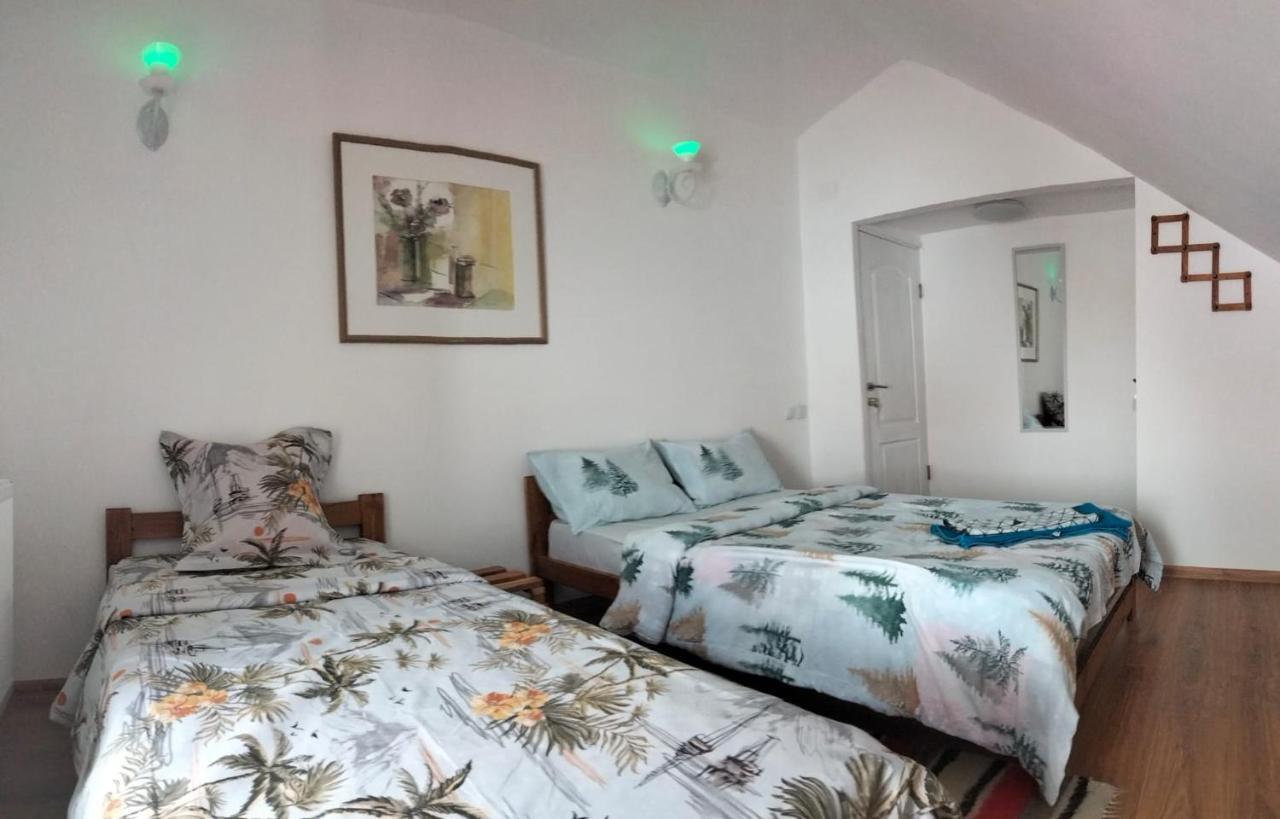 Doi Iepuri Apartment Azuga Bagian luar foto