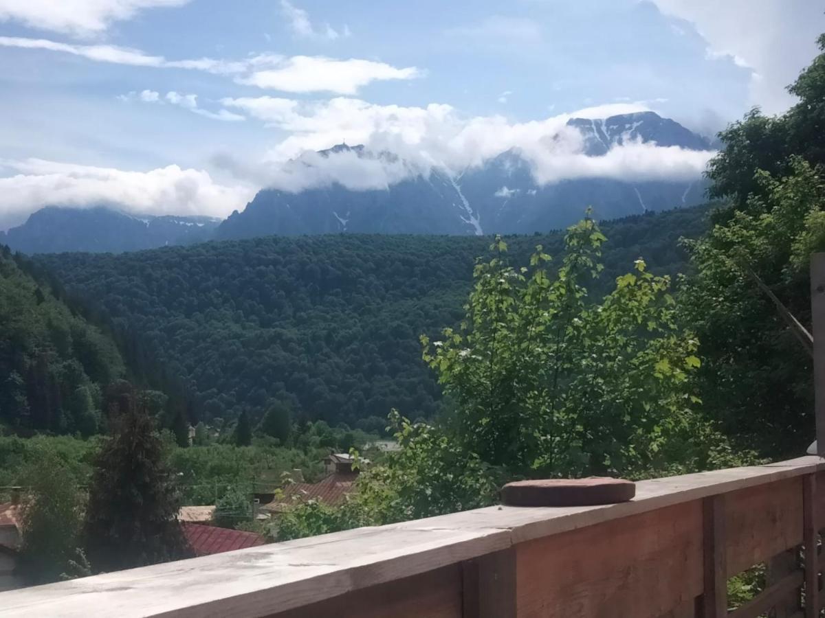 Doi Iepuri Apartment Azuga Bagian luar foto
